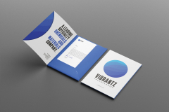 Web design for Vibrantz